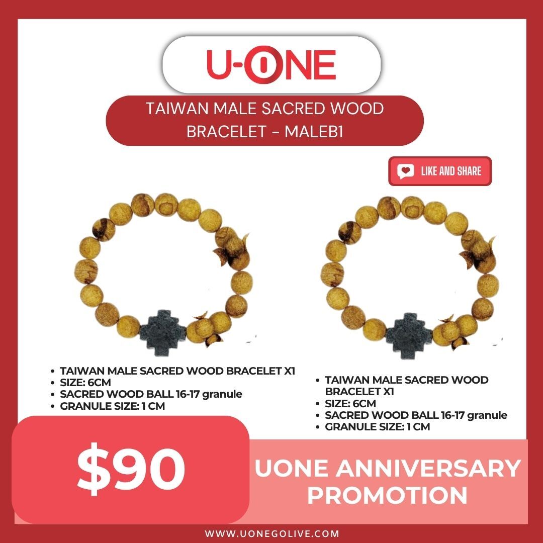TAIWAN MALE SACRED WOOD BRACELET - MALEB1