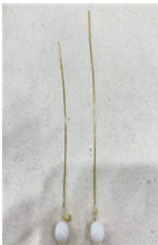 271867耳线和田玉*折實滿$699包順豐智能櫃*154live