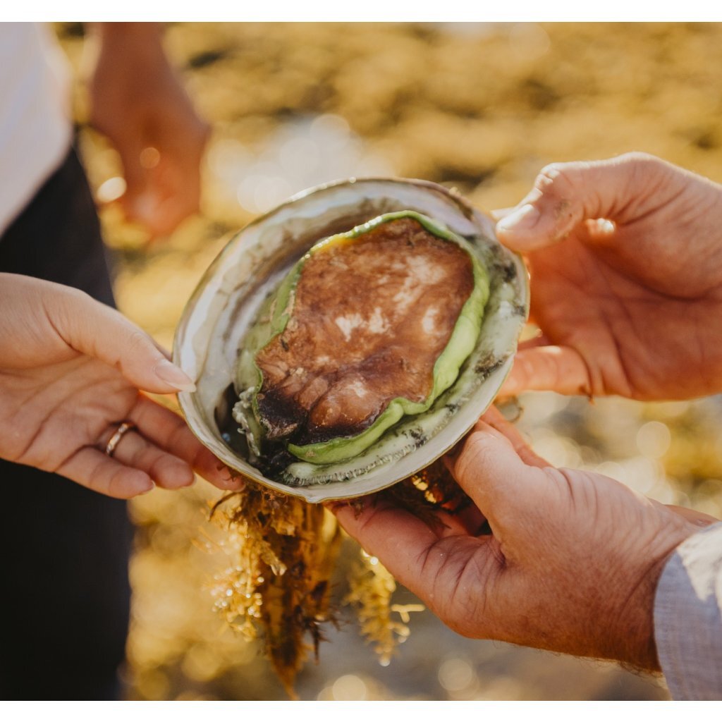 澳洲Eyrewoolf 一級野生青邊鮑 XL 碼