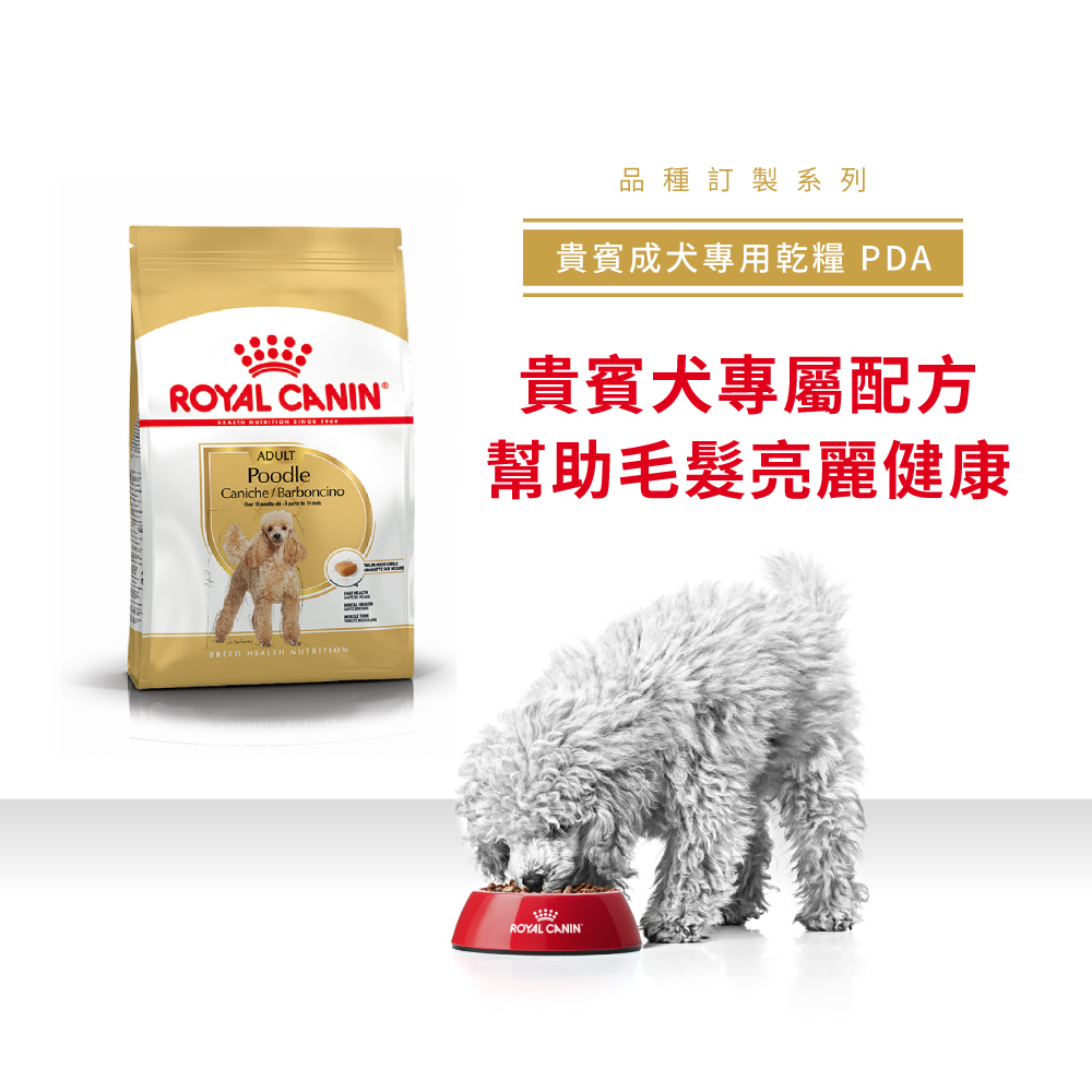 Royal Canin法國皇家貴賓成犬PDA