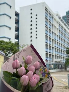 W - 2026母親節專區- 9枝鬱金香_TUP55030