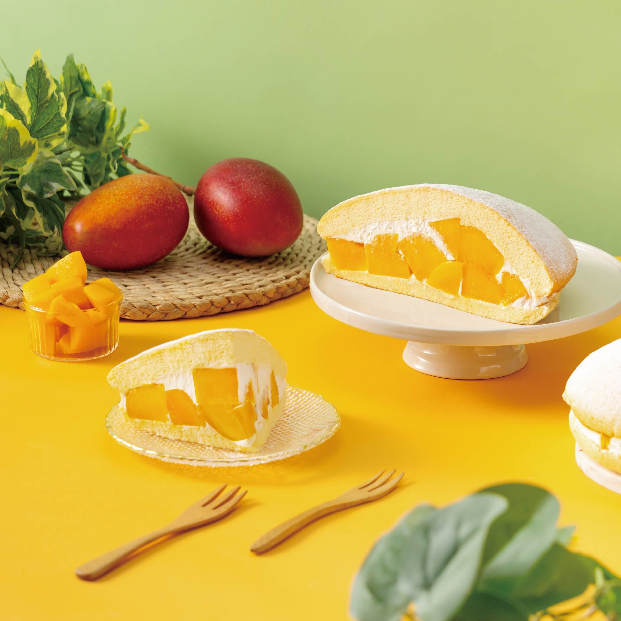 【母親節預購】夏季芒種限定 | 松鼠很芒