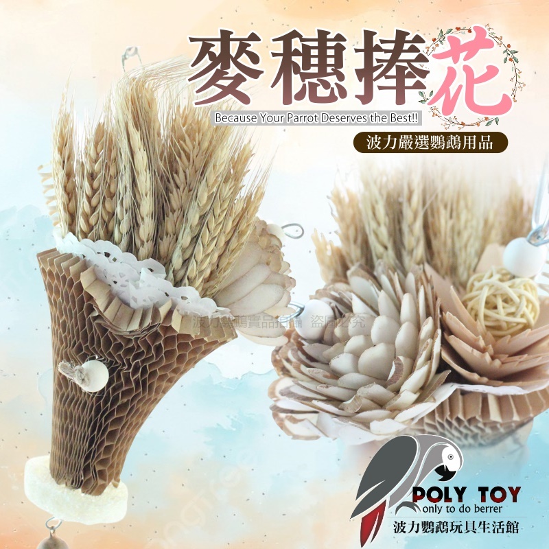 麥穗捧花 鸚鵡玩具 鸚鵡腳下玩具 鸚鵡消遣時間玩具 波力鸚鵡玩具生活館