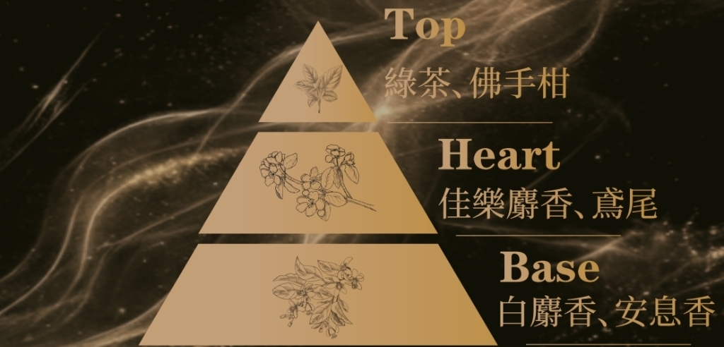 慕光麝香香調金字塔