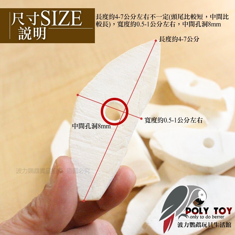墨魚骨切片 10片裝 已打洞8mm 已乾燥滅菌 鸚鵡玩具 鸚鵡腳下玩具 鸚鵡消遣時間玩具 波力鸚鵡玩具生活館