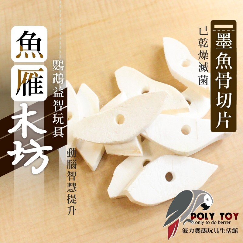 墨魚骨切片 10片裝 已打洞8mm 已乾燥滅菌 鸚鵡玩具 鸚鵡腳下玩具 鸚鵡消遣時間玩具 波力鸚鵡玩具生活館