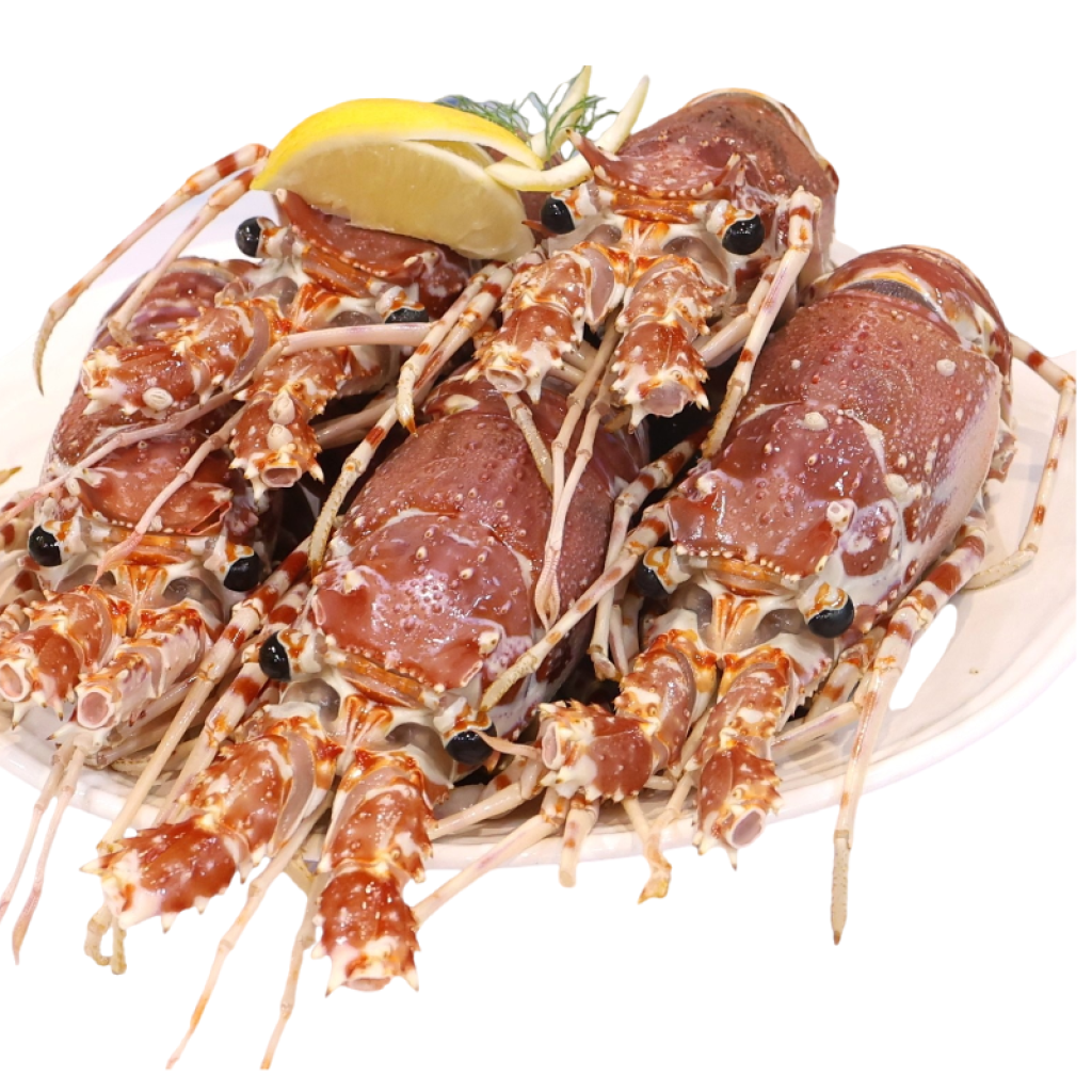 葡萄牙FRIP野生原隻生龍蝦 (一盒約4-5隻)  1500g