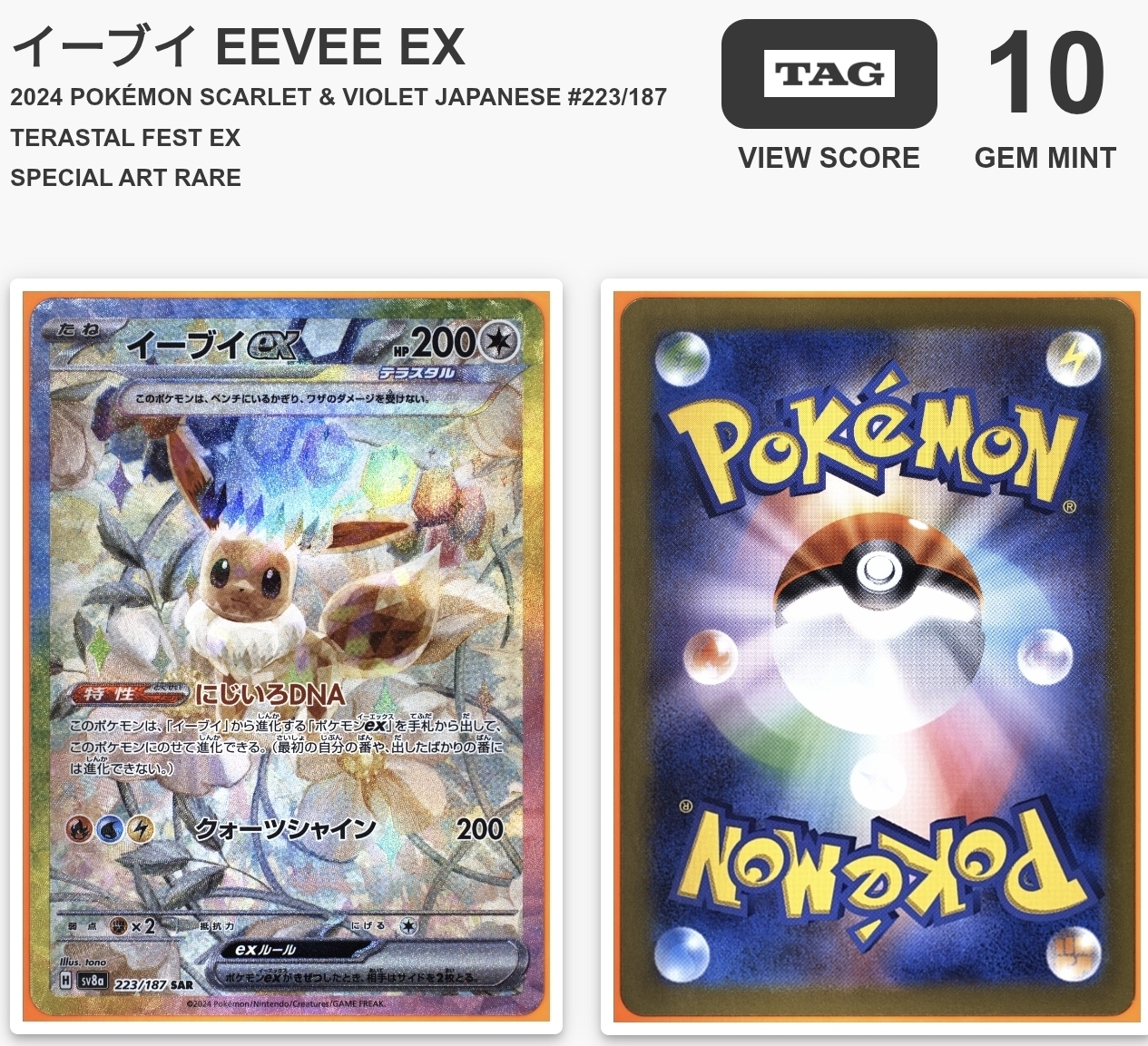 【TAG 10】イーブイ EEVEE EX 2024 POKÉMON SCARLET & VIOLET JAPANESE #223/187 TERASTAL FEST EX SPECIAL ART RARE
