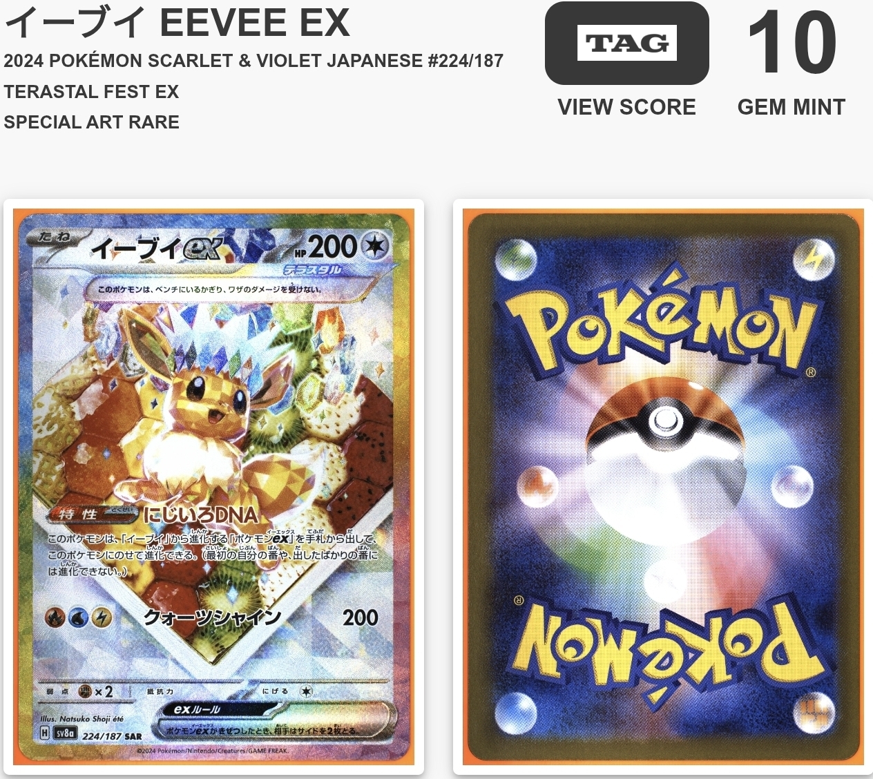 【TAG 10】イーブイ EEVEE EX 2024 POKÉMON SCARLET & VIOLET JAPANESE #224/187 TERASTAL FEST EX SPECIAL ART RARE
