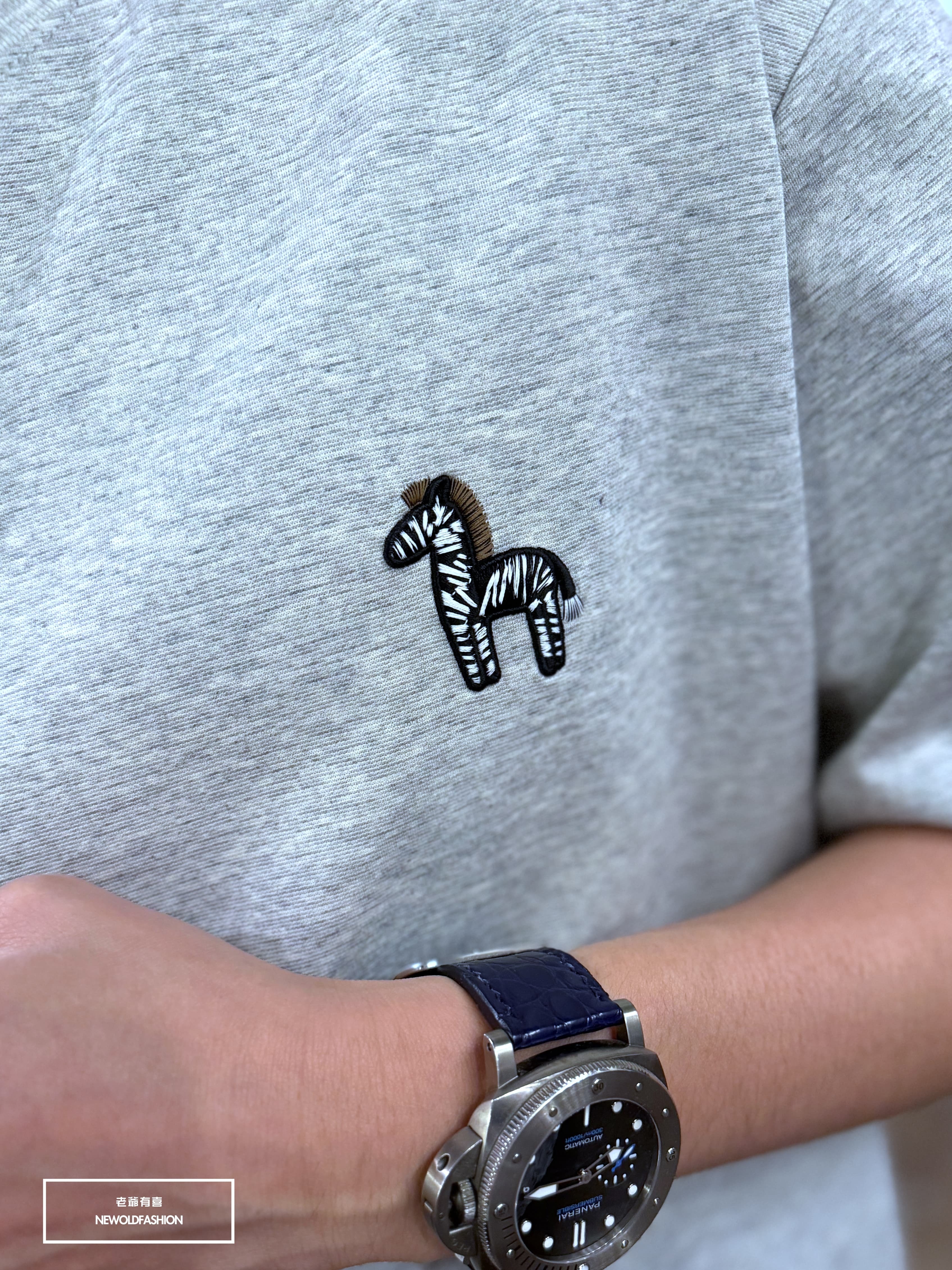 『新品上市』重磅搖滾斑馬刺繡短T(NOF2604Z8003)-淺灰