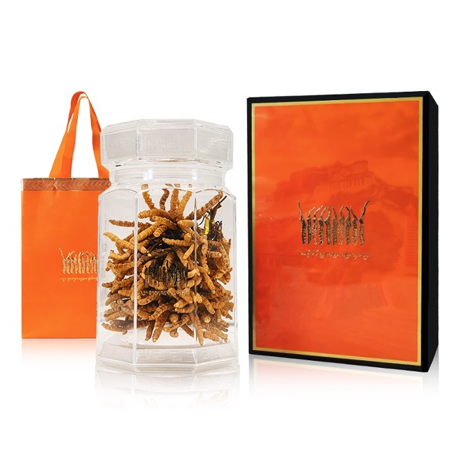 0415gz38-GZday2--慶豐年-精品冬蟲夏草60g（A38）