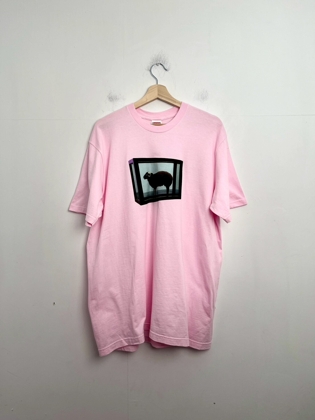 SUPREME 25SS DAMIEN HIRST TEE PINK SIZE L