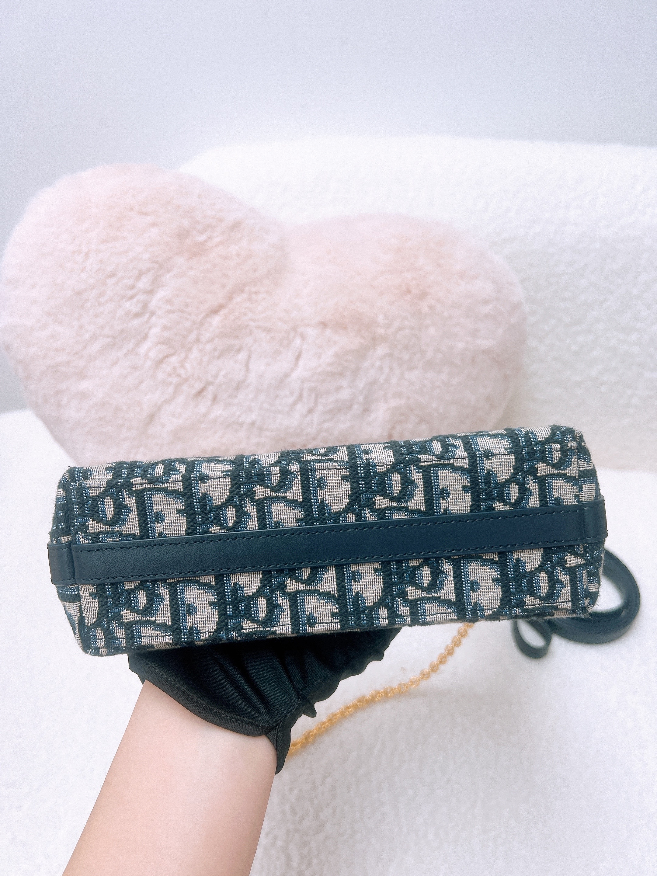 Dior miss caro diorling hobo (blue oblique)