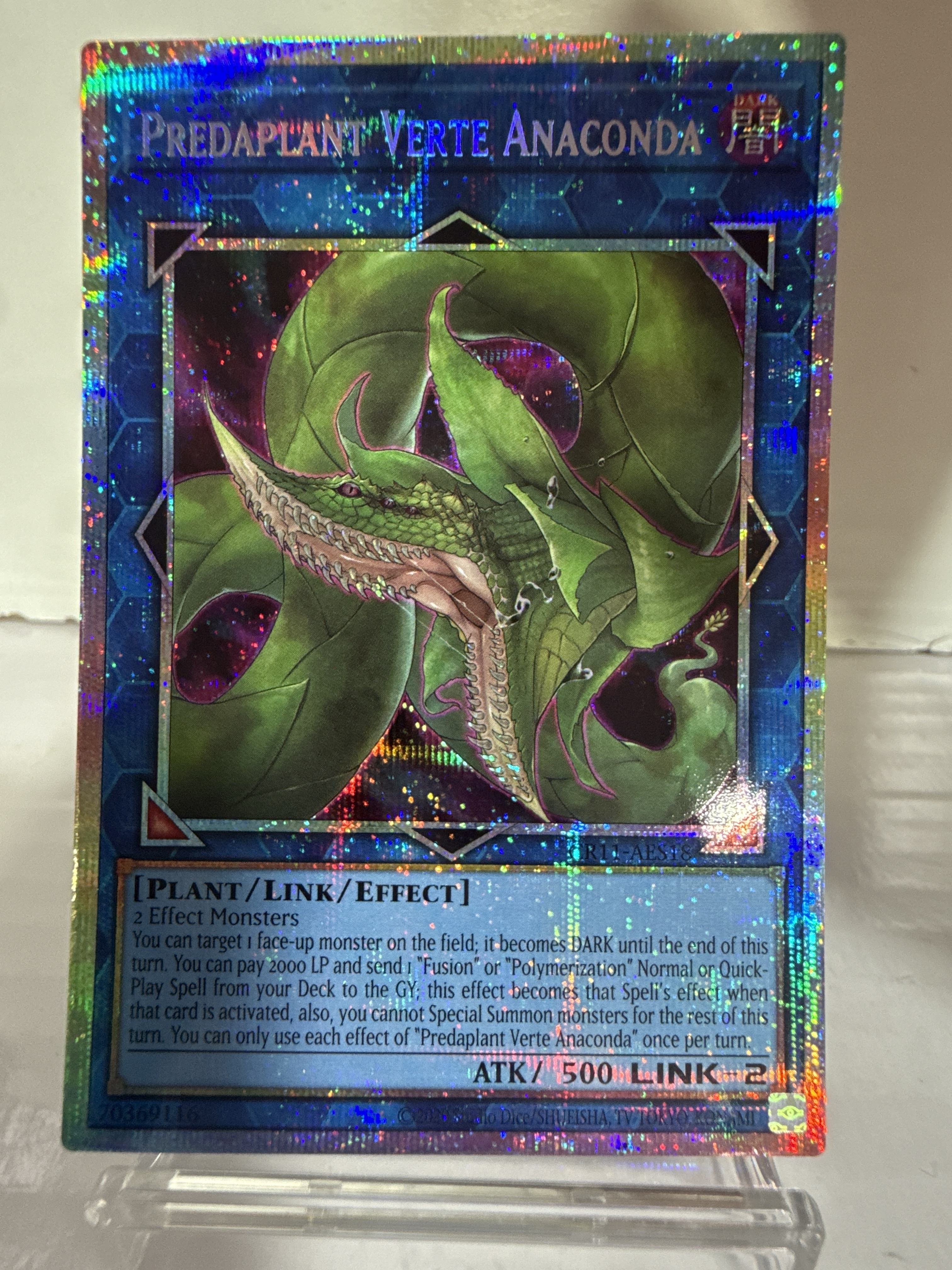 CR11-AES18 (PSER)Predaplant Verte Anaconda(捕食植物 佛德角蟒蛇)