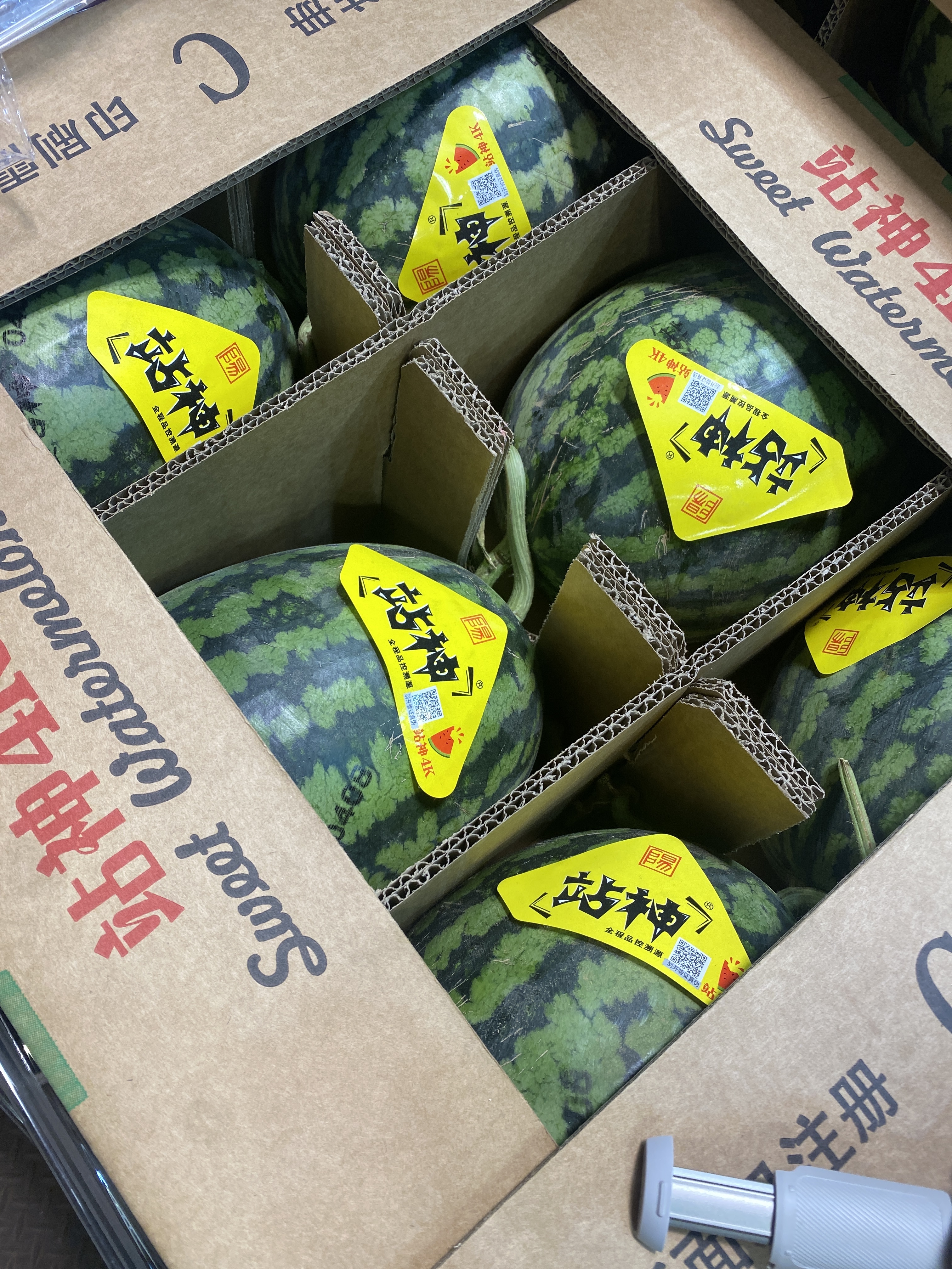 【水果】0414果欄直播 站神西瓜 1個