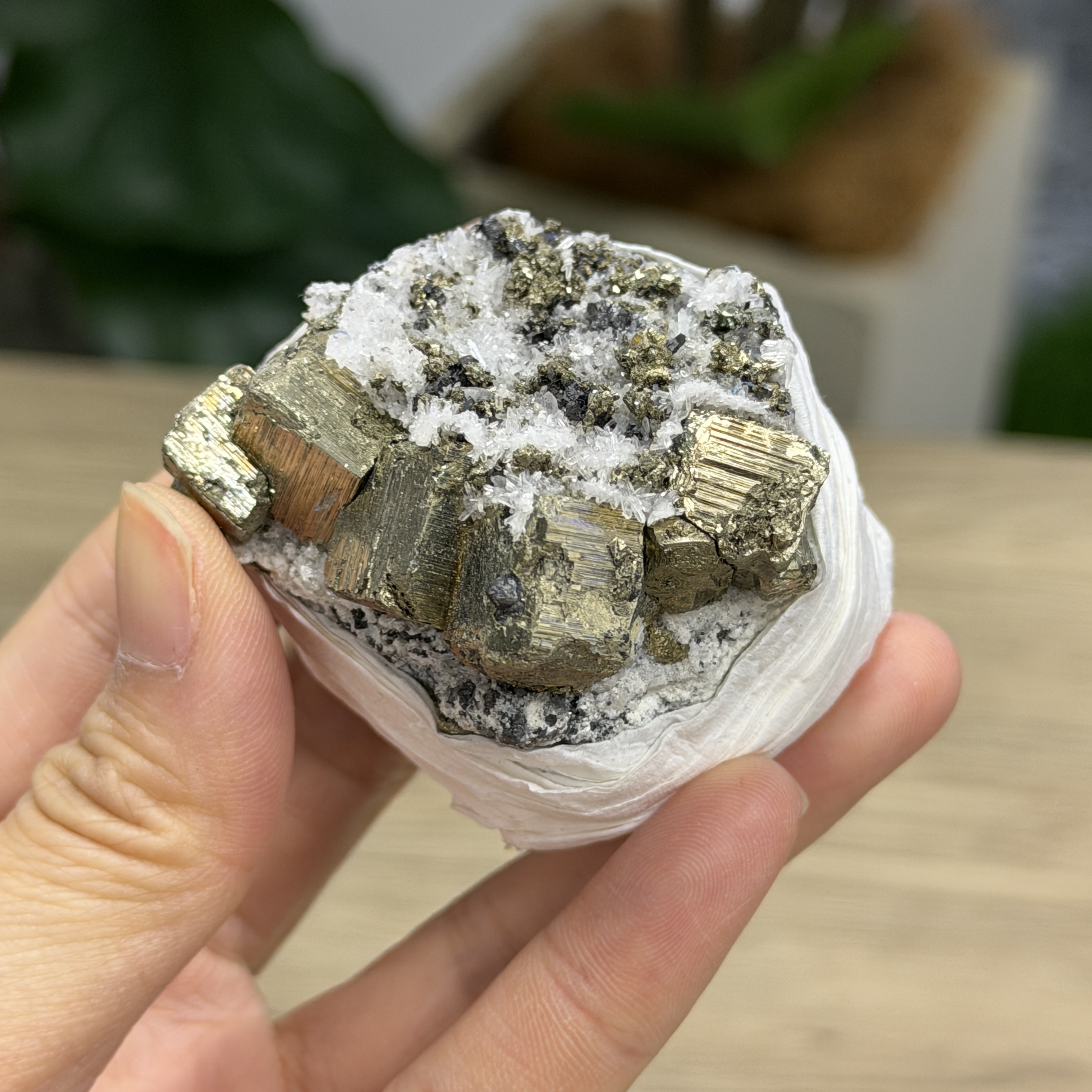 秘魯黃鐵礦 PY1556