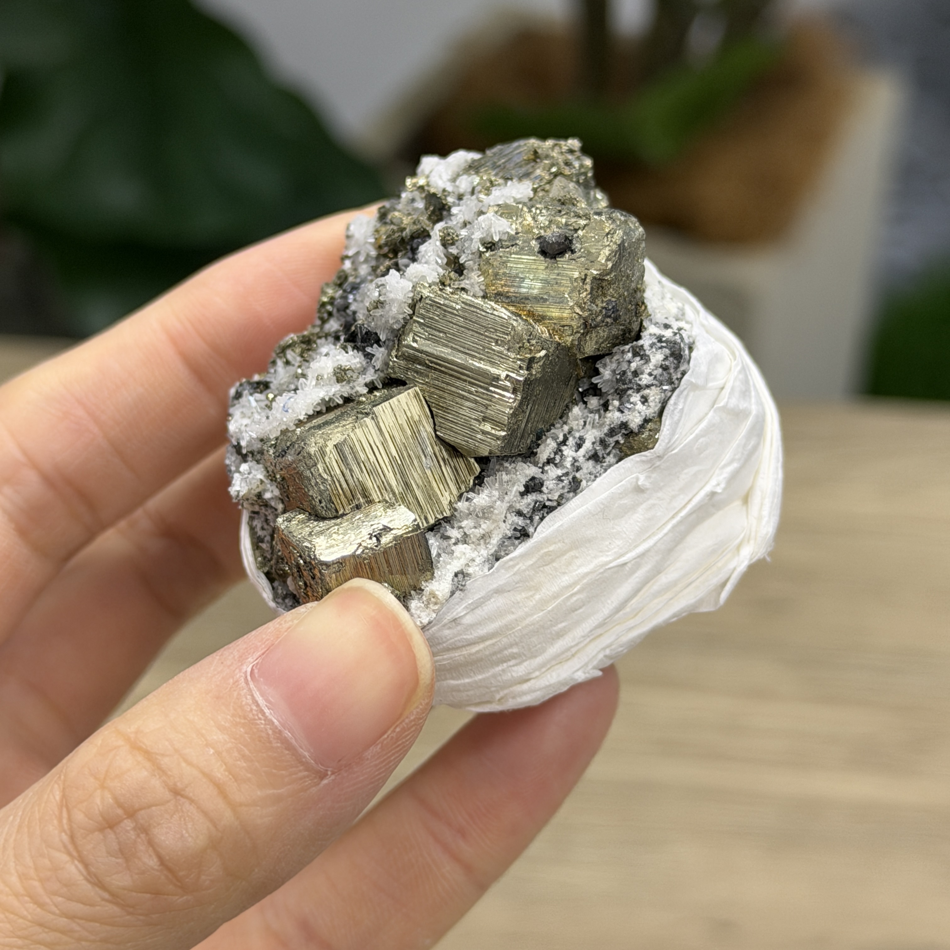 秘魯黃鐵礦 PY1556