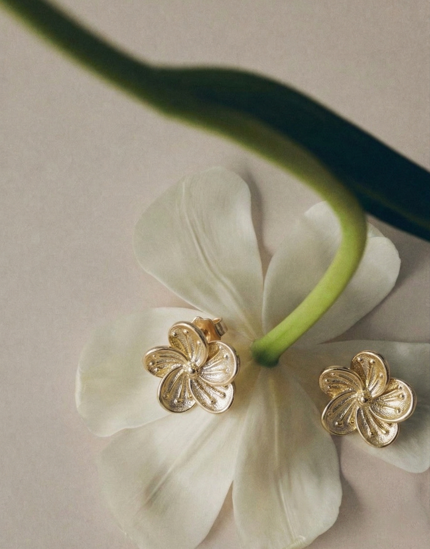 1WK0414-001 WAEKURA Earrings Tess (EU)