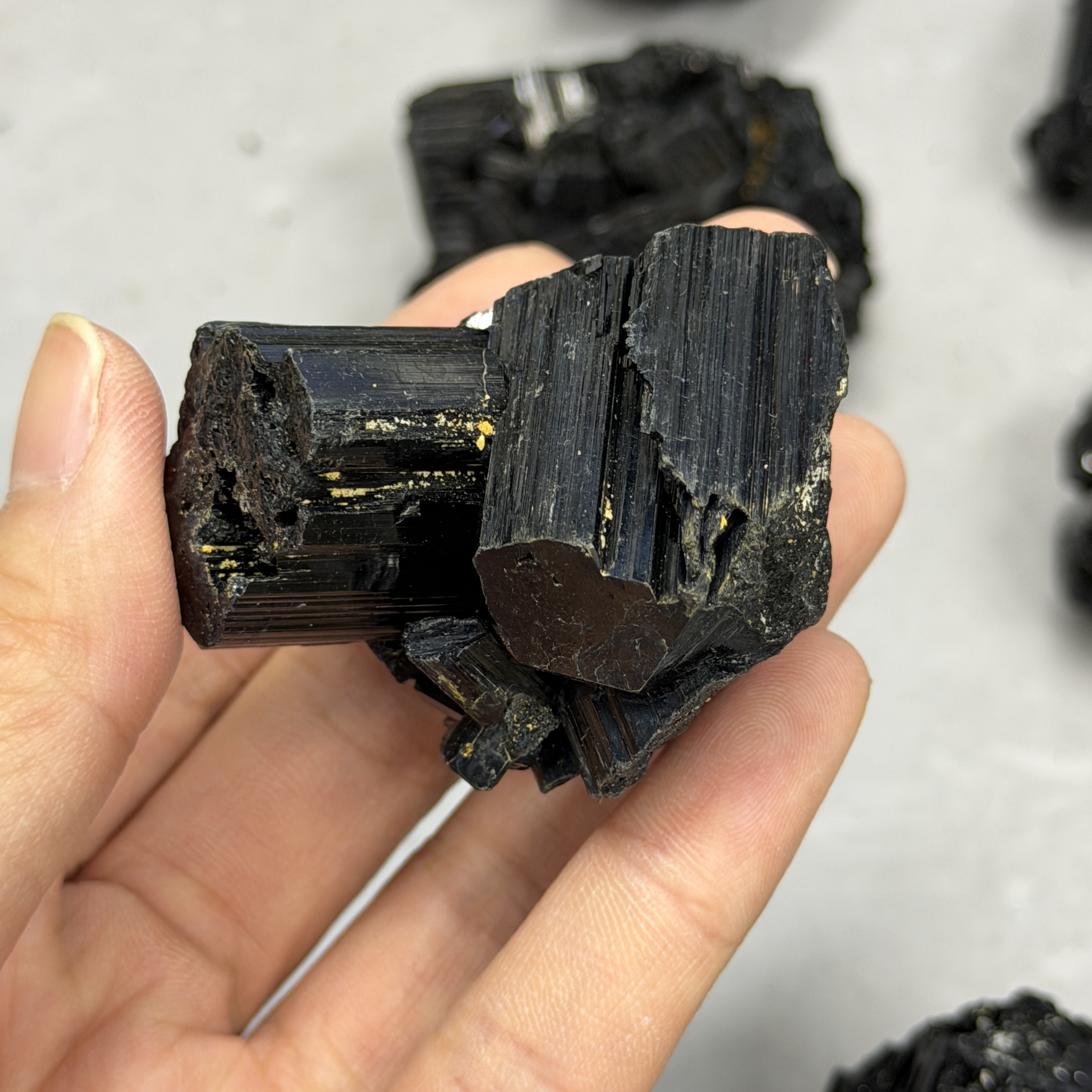 收藏品黑碧璽/電氣石礦標 TRR1855