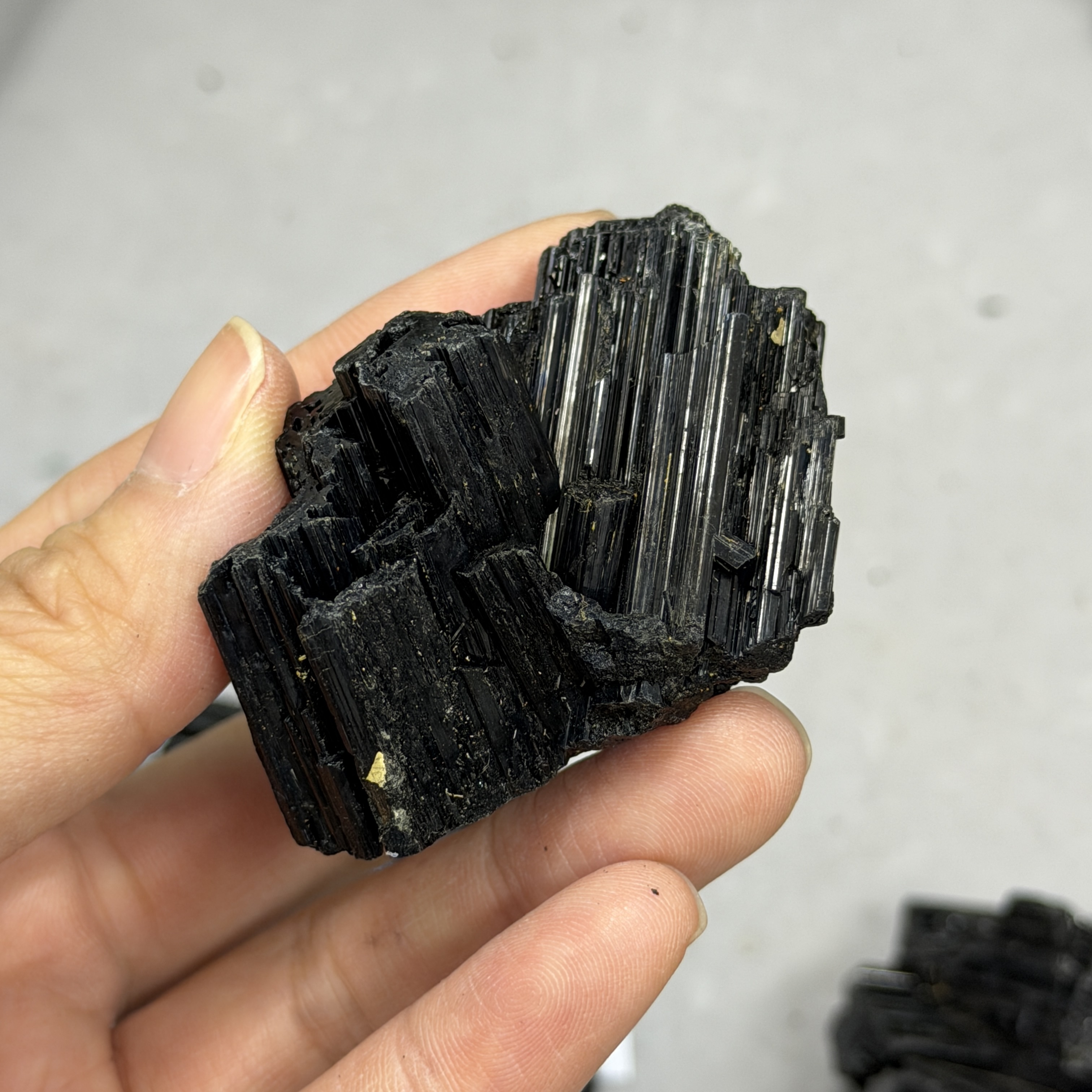 收藏品黑碧璽/電氣石礦標 TRR1860