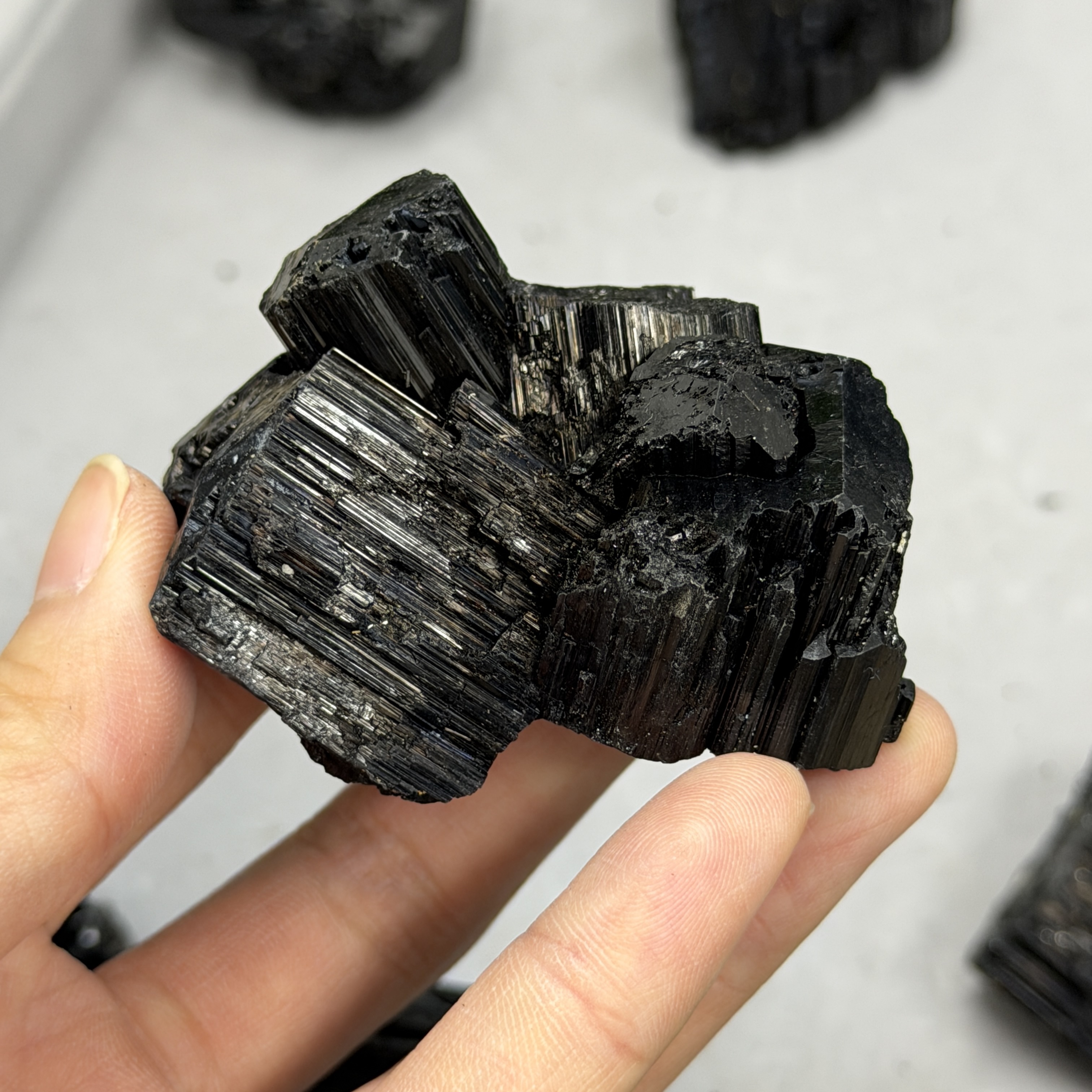 收藏品黑碧璽/電氣石礦標 TRR1861