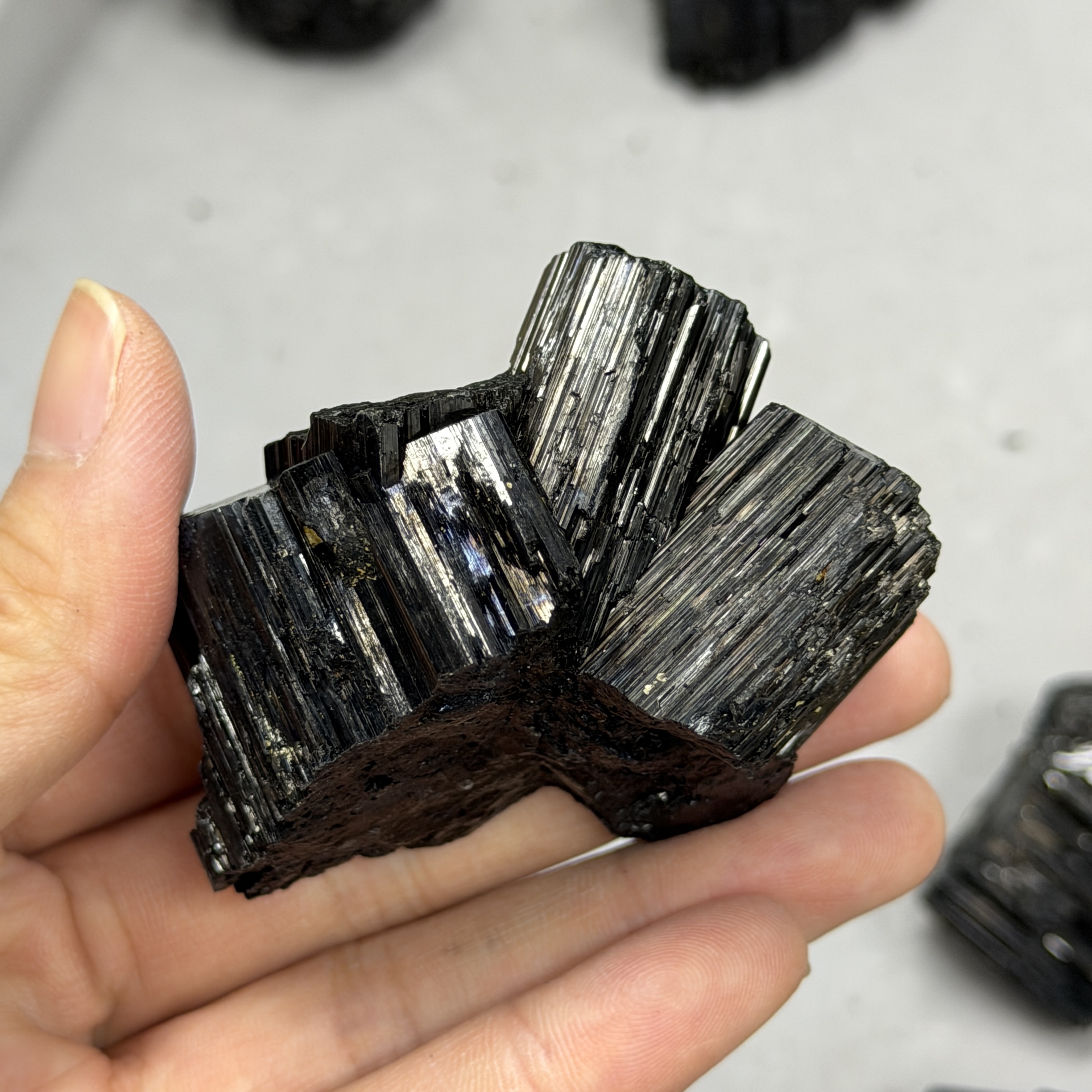 收藏品黑碧璽/電氣石礦標 TRR1861