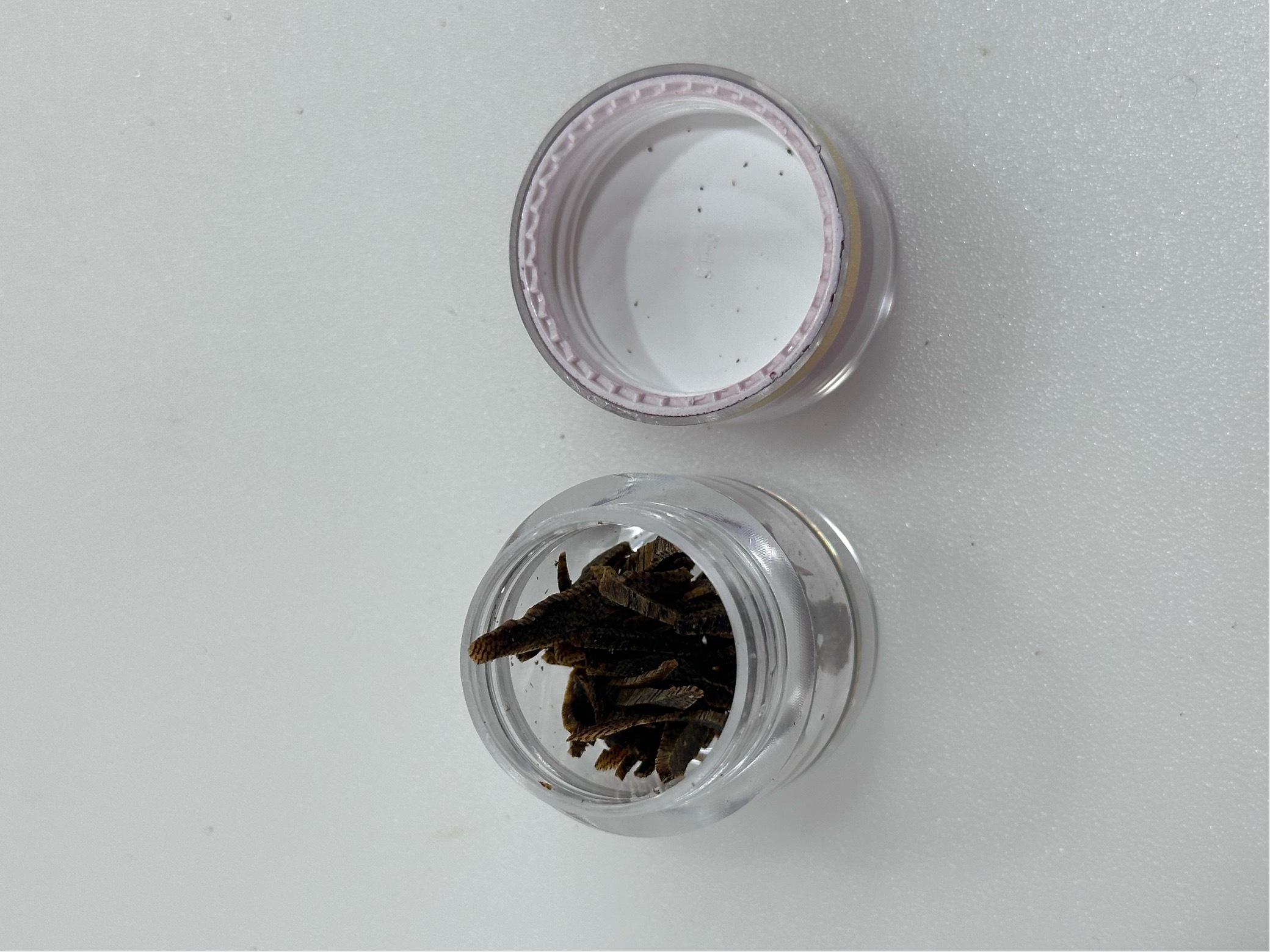 0416gz39-GZday3-沉香4月-海南棋楠沉水切絲1g(A39)