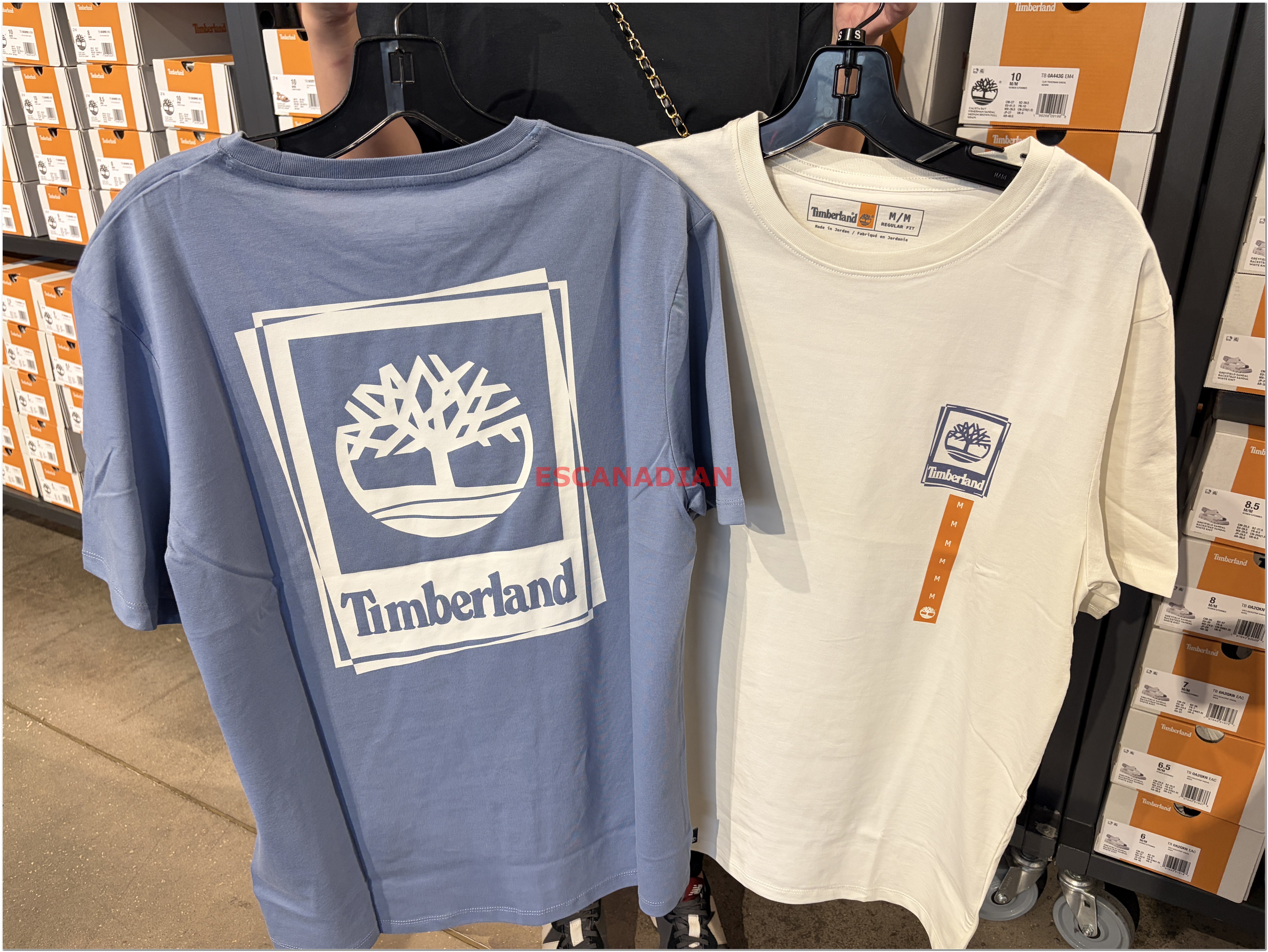 【限時】Timberland 大人 經典大樹 正反圖案 短TEE (2色)