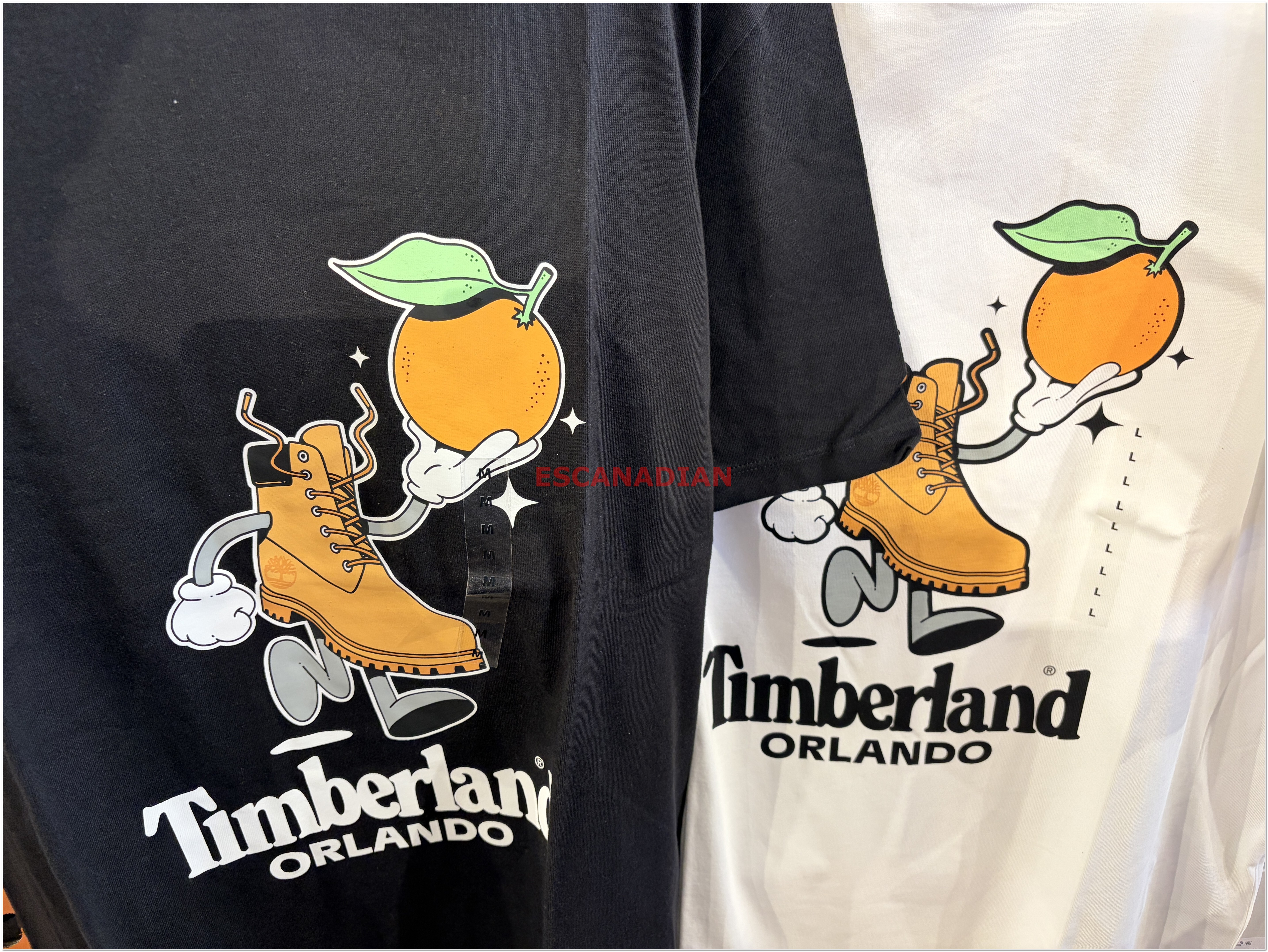 【限時】Timberland 大人 奧蘭多 城市限定款 短TEE (2色)