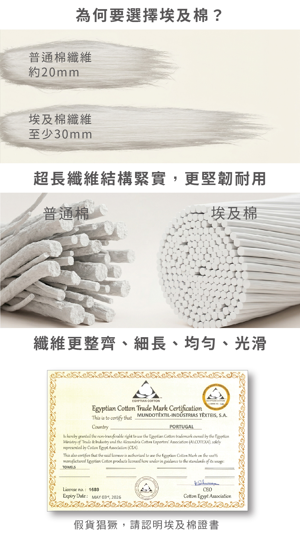 埃及棉材質優勢圖解。圖片透過視覺化對比，展示普通棉（約20mm）與埃及棉（至少30mm）的纖維長度差異，並用 3D 截面圖顯示埃及棉纖維結構更緊實、整齊且均勻。底部附上官方埃及棉商標授權證書，呼籲消費者認明正品。