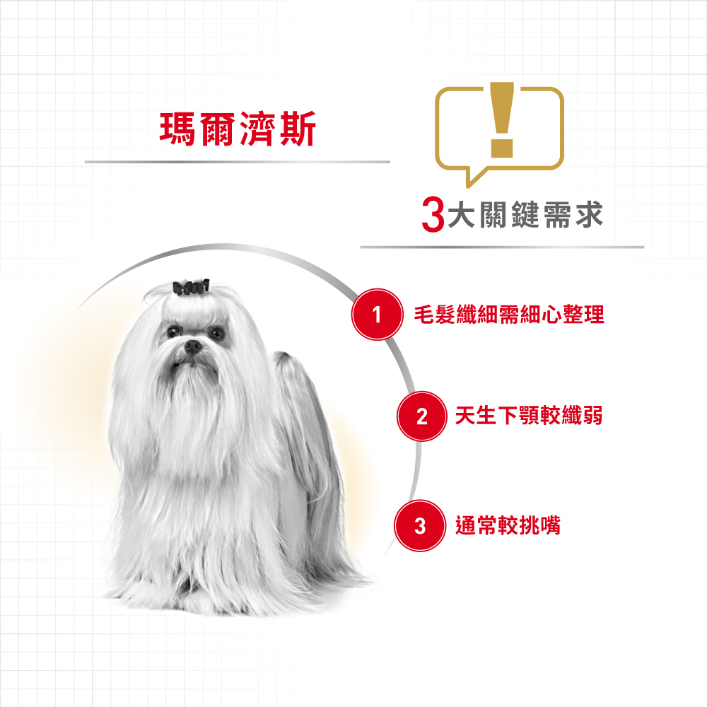 Royal Canin法國皇家瑪爾濟斯成犬MTA