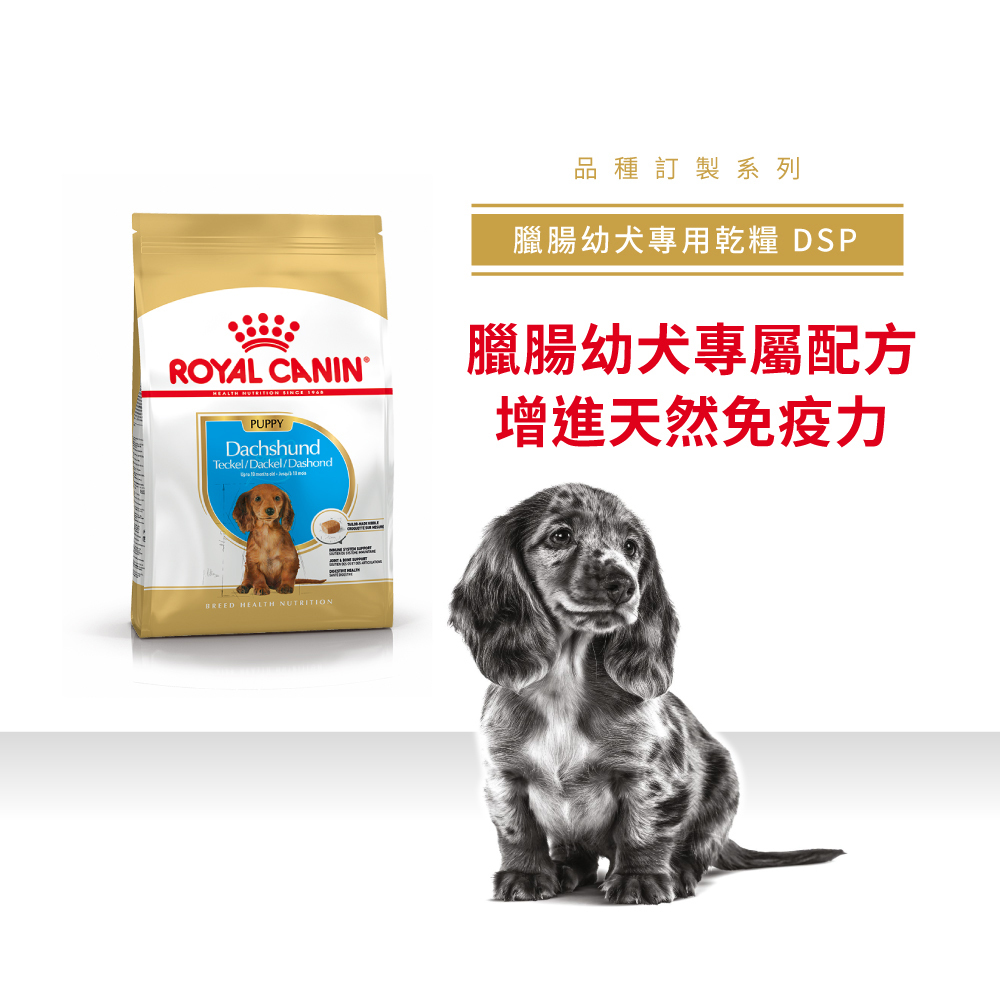 Royal Canin法國皇家臘腸幼犬DSP