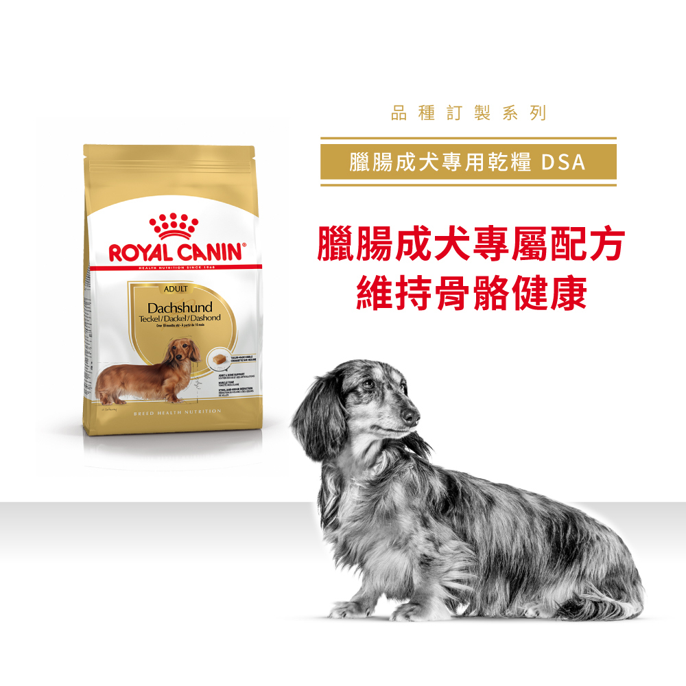 Royal Canin法國皇家臘腸成犬DSA