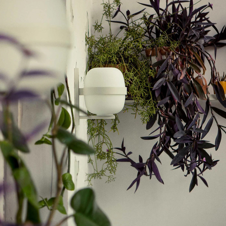Wally Cestita Wall lamp