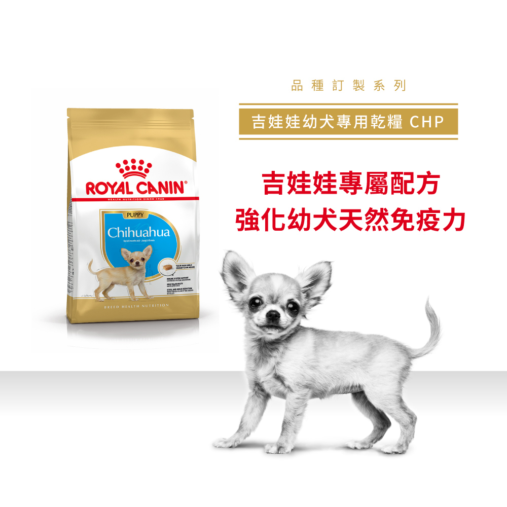 Royal Canin法國皇家吉娃娃幼犬CHP