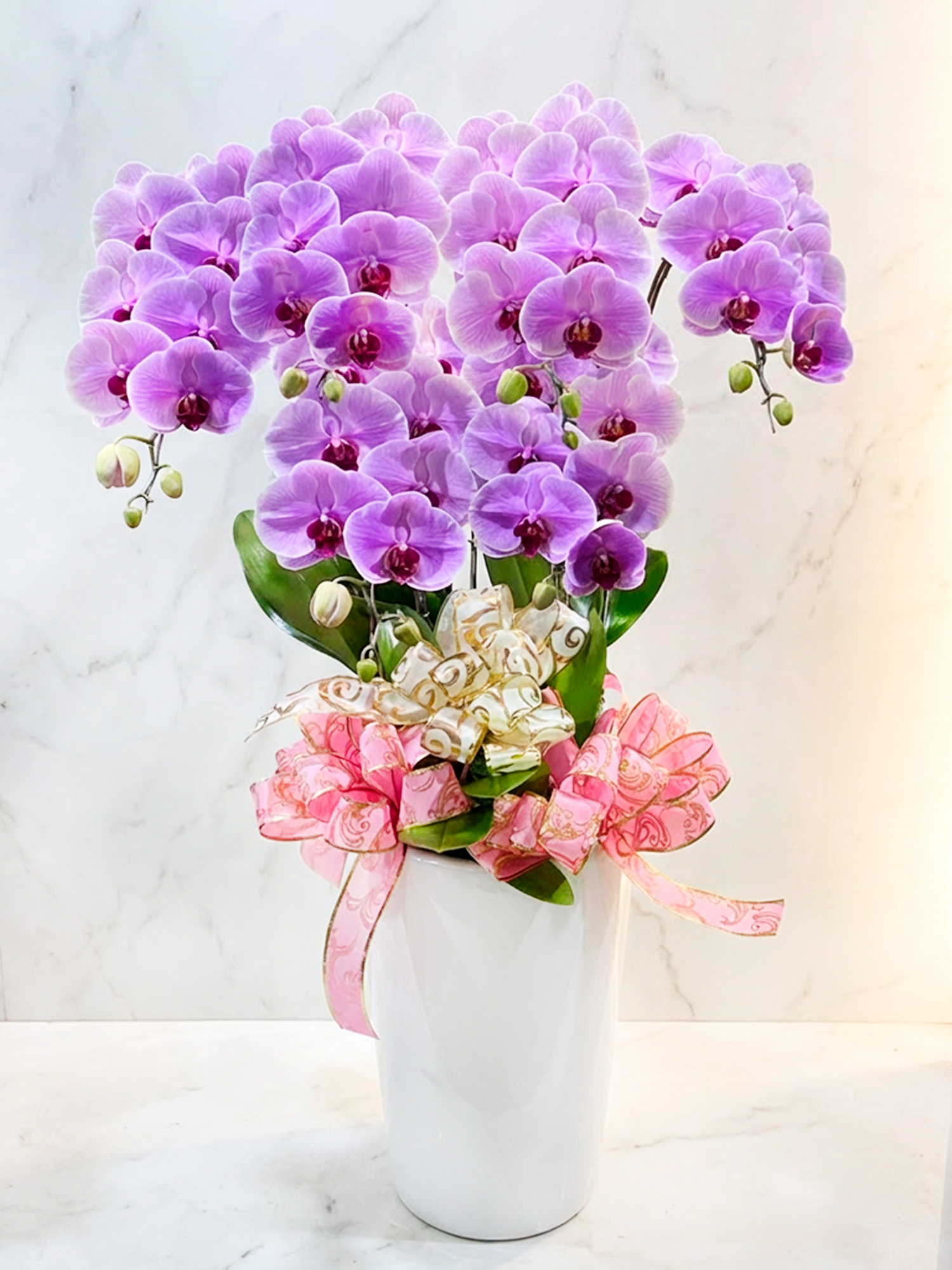輕粉花序