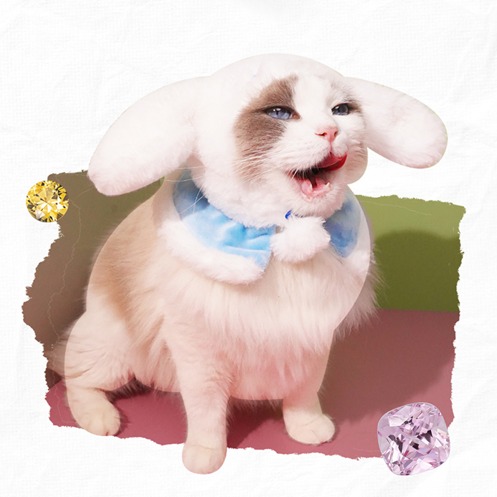 三麗鷗家族-名媛下午茶寵物頭套 隨機一款