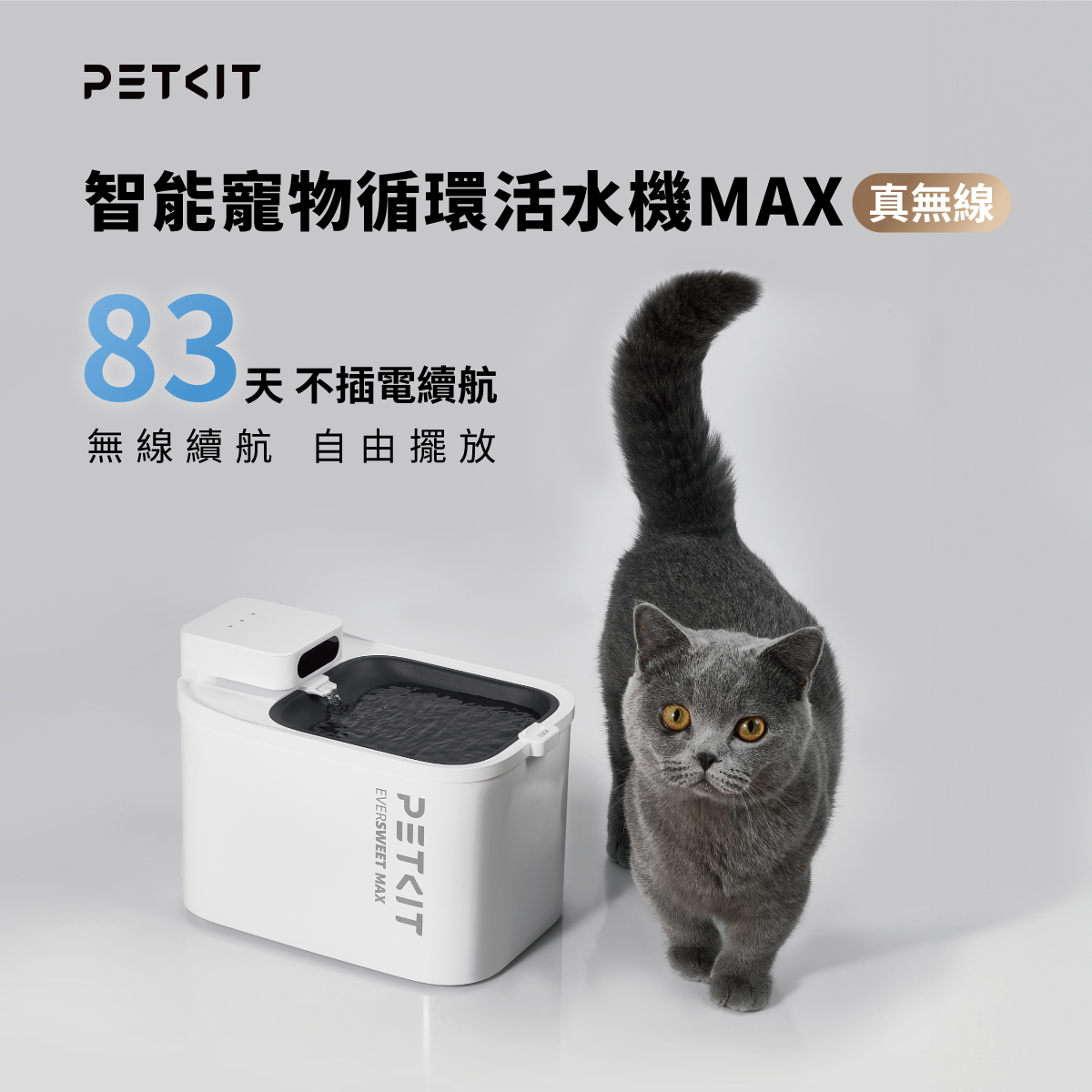 居家一次購足組 (餵食器SOLO攝影版+活水機MAX)