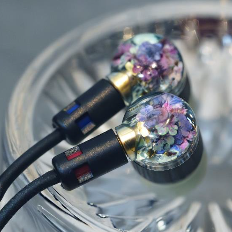 InTime 君子蘭 Clivia & 飛信子 Hyacinth