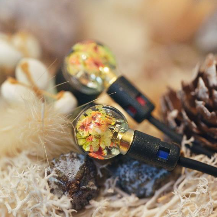 InTime 君子蘭 Clivia & 飛信子 Hyacinth