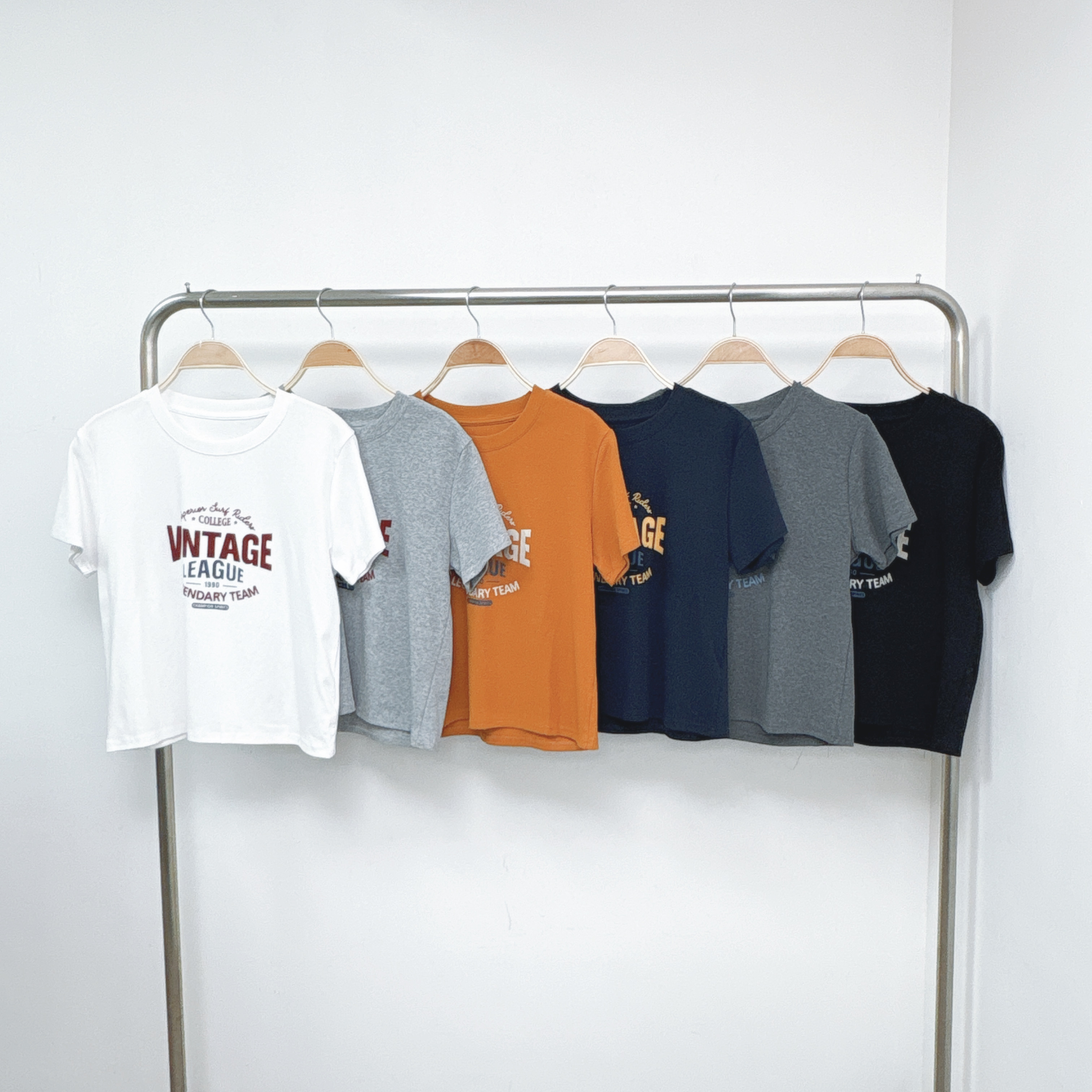 ⭐️⭐️【預訂】絨面字母Vintage彈棉短TEE (T51-T56)