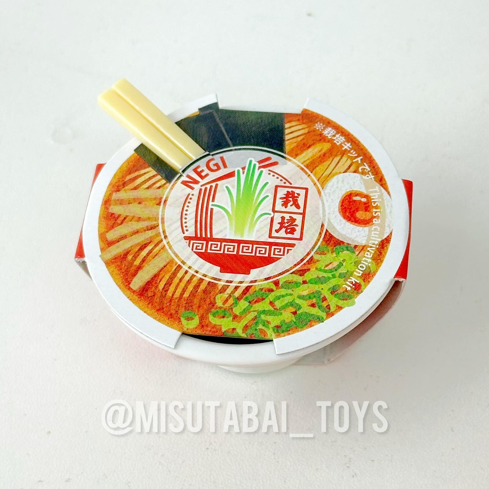Seishin GD-105901 Ramen seasoning cultivation kit - NEGI