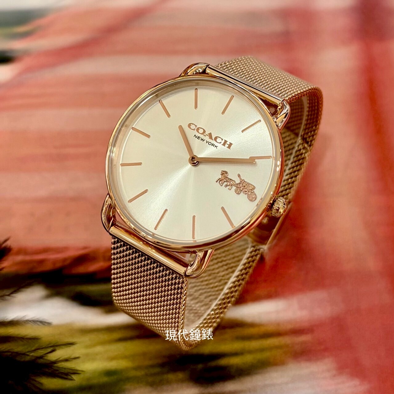 【COACH】經典馬車米蘭帶CO14504383 36mm 現代鐘錶