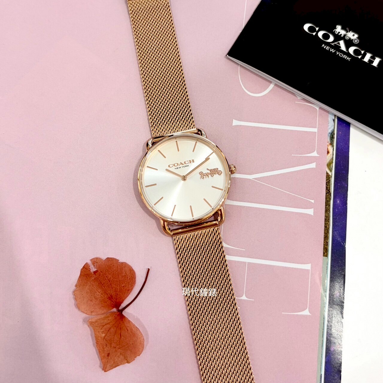 【COACH】經典馬車米蘭帶CO14504383 36mm 現代鐘錶