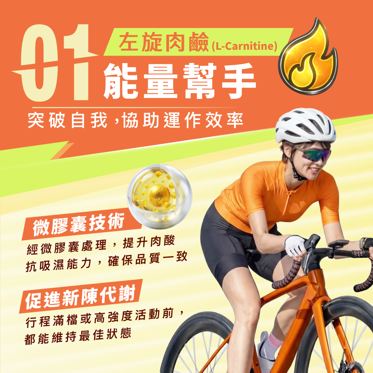 左旋肉鹼,肉鹼,能量,微膠囊,促進新陳代謝