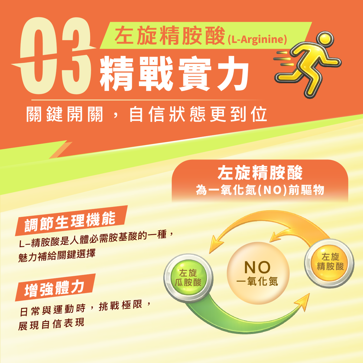 精胺酸,左旋精胺酸,一氧化氮,NO,增強體力,調節生理機能