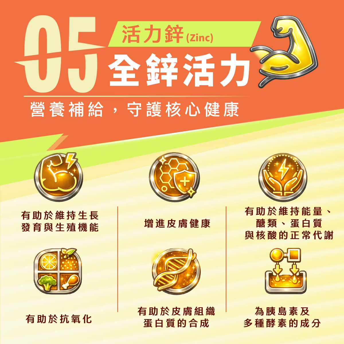 鋅,活力,增進皮膚健康,抗氧化,維持生長發育,生殖機能,胰島素,蛋白質合成