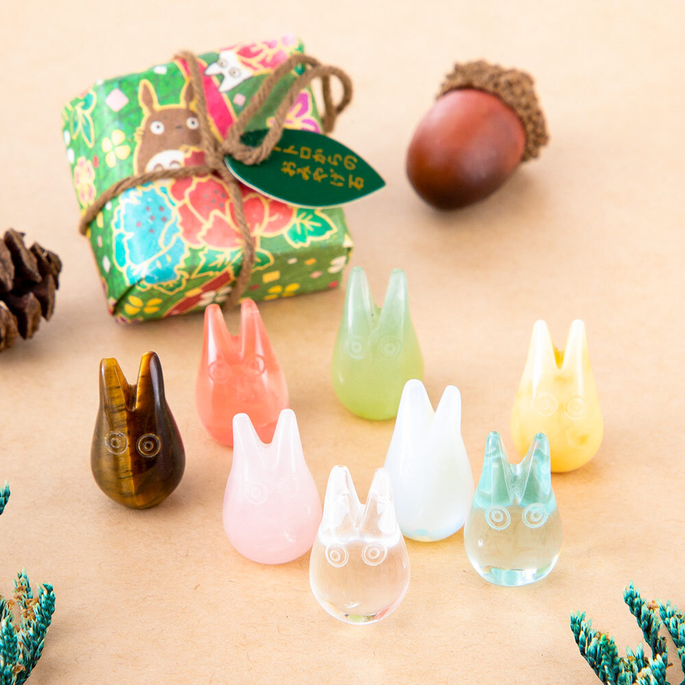 手信石 龍貓 發現小龍貓!