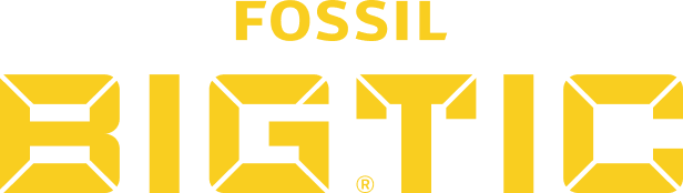 Fossil Big Tic
