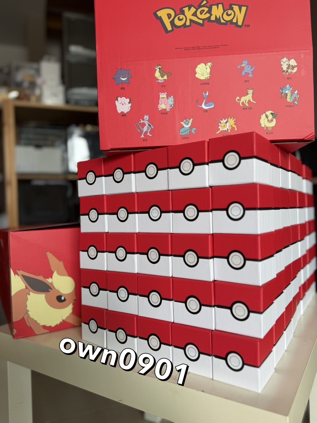【OWN】Pokémon 寶可夢 韓國限定 徽章 盲盒 限量 隨機 共14款